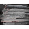 sea frozen sailfish China supplier hot sale seafood